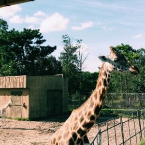 Meet your Posher, Erian